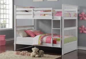 Wide range of Modern Kids Bunk Bed available at a low price. Buy Modern Espresso  B123 Kids Bunk Bed Made of engineered wood up to 40% Off.